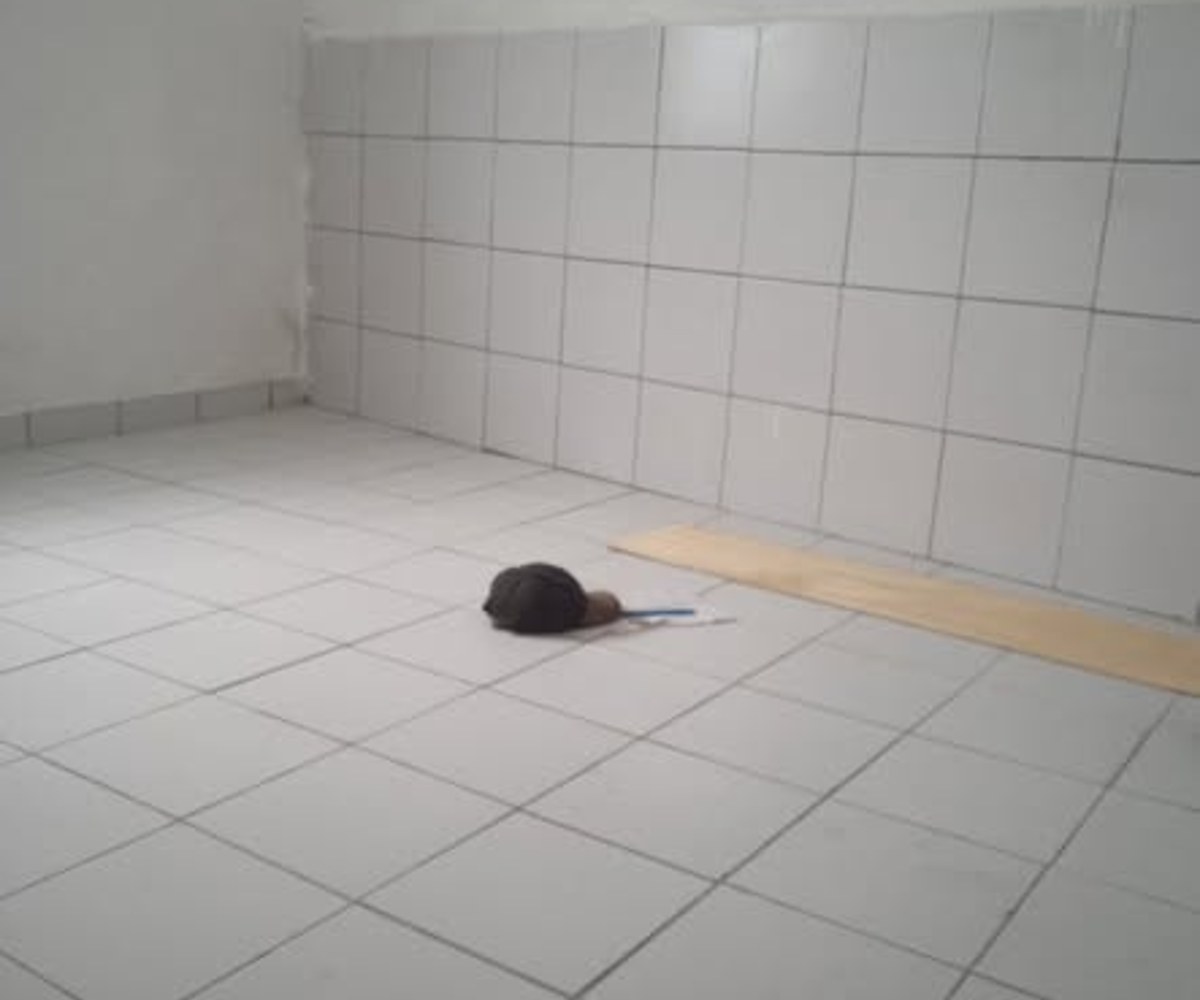 Studio à louer à Ndogpassi II - 45 000 FCFA/mois