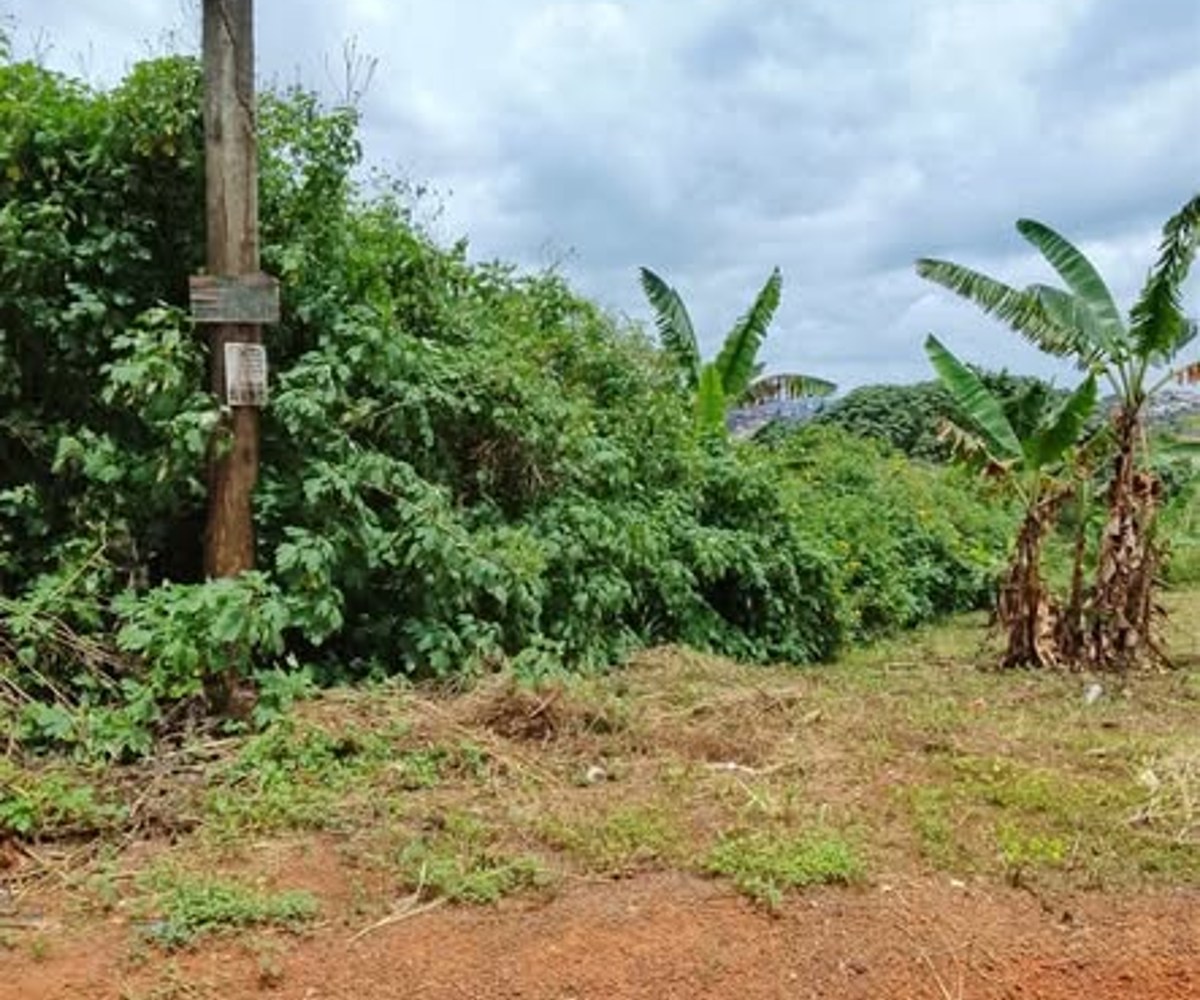 Terrain à vendre - Tropicana, Yaoundé
