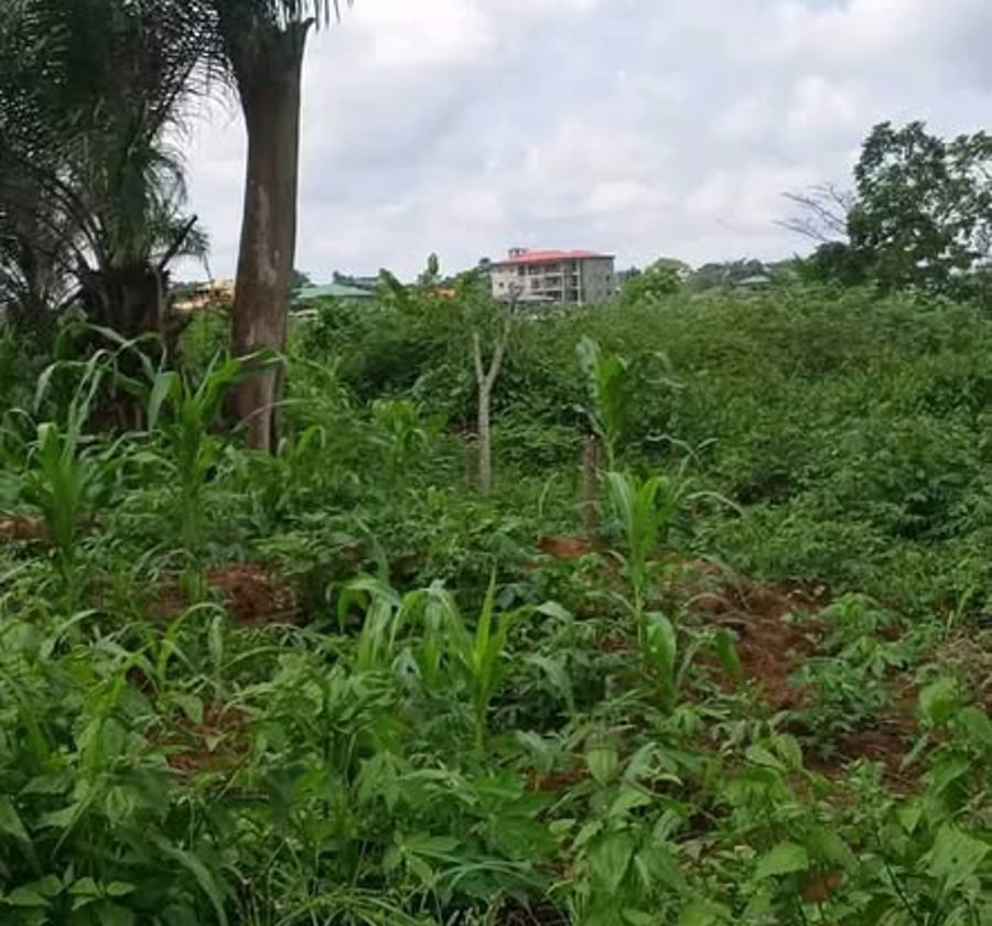 Terrain à vendre - Mballa Éleveur, Yaoundé