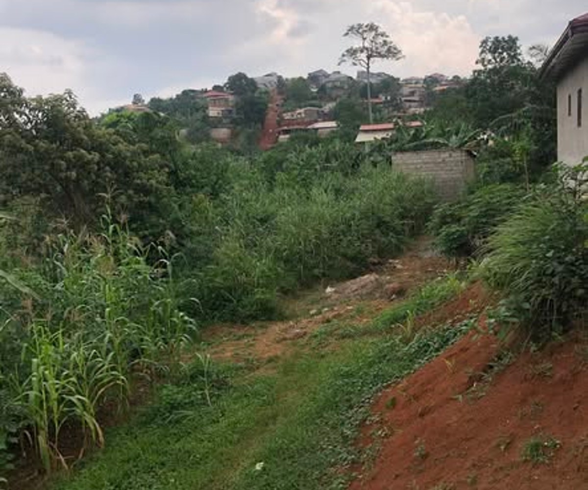 Terrain à vendre Nkoabang - 200 m²