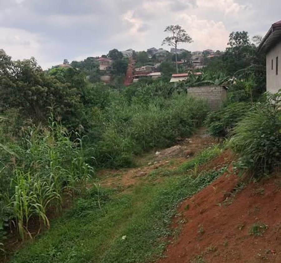 Terrain à vendre Nkoabang - 200 m²