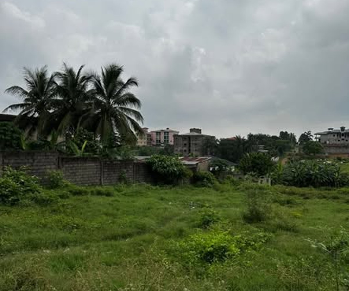 Terrain titré à vendre à Douala – Yassa