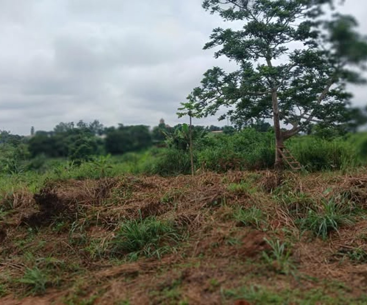 Vente terrain titré Nsimalen Mimetala