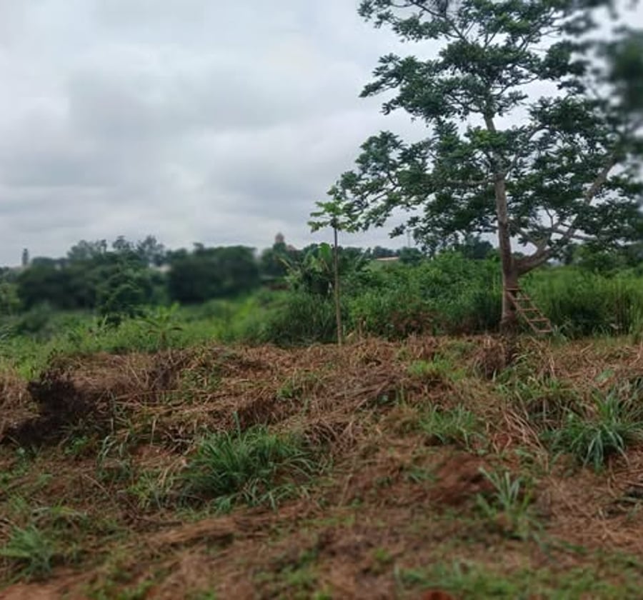 Vente terrain titré Nsimalen Mimetala
