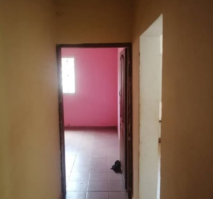 Appartement moderne 2 chambres - Olembe