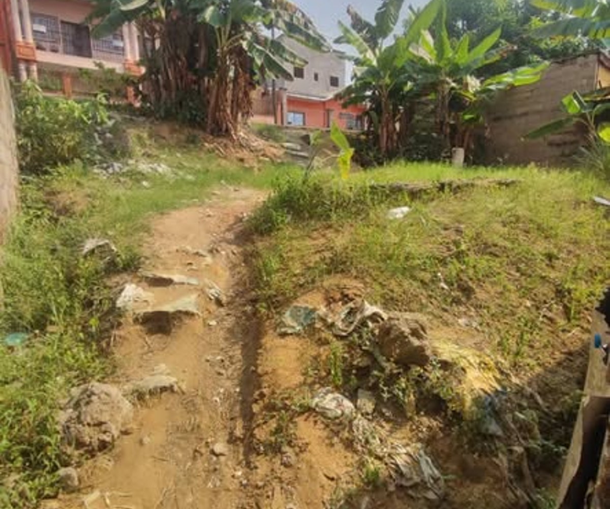 Vente terrain Logbessou Douala - 300 m² avec fondation