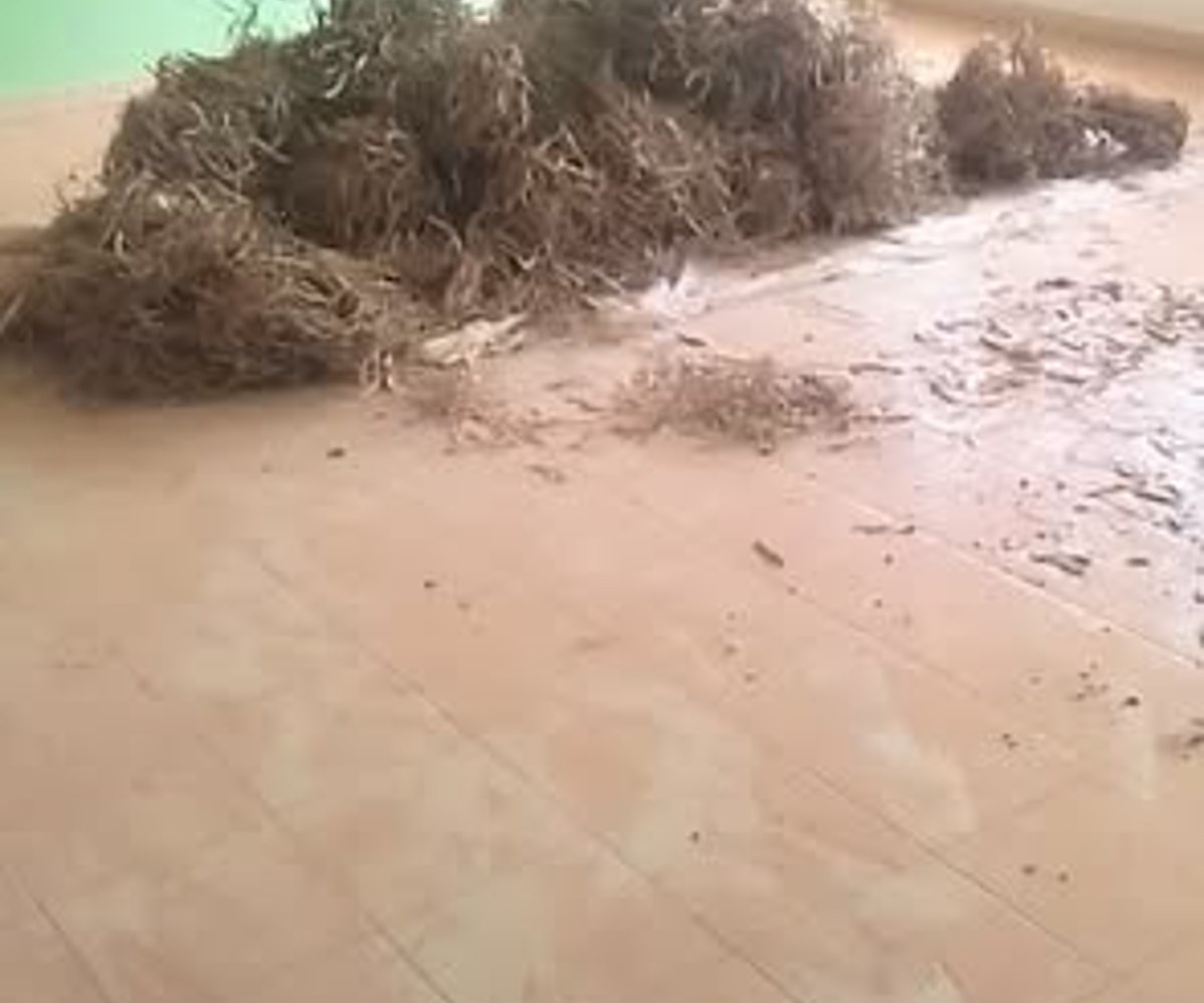 Appartement 3 chambres à louer - Biyem-Assi Jouvence