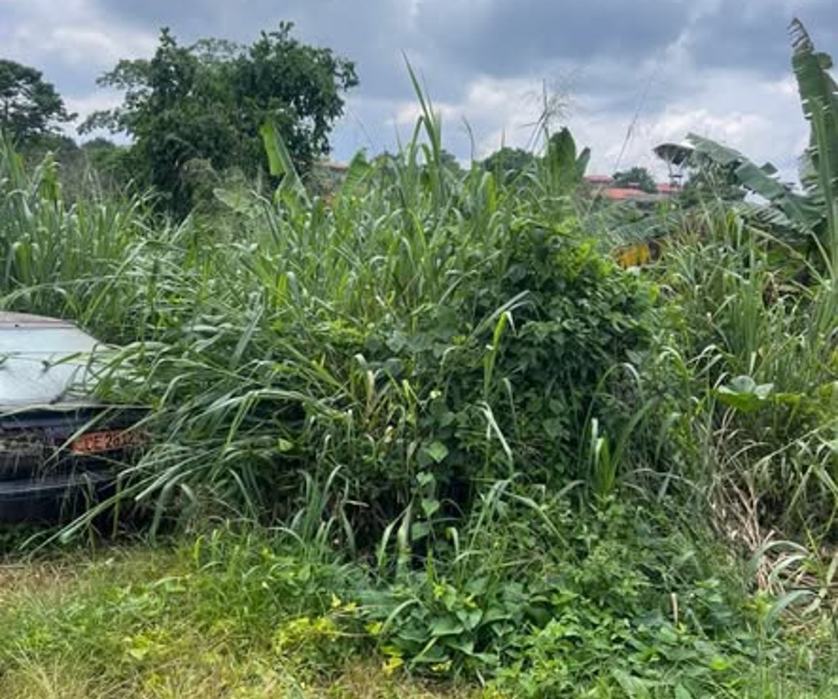 Terrain titré à vendre à Awae Nkongoa