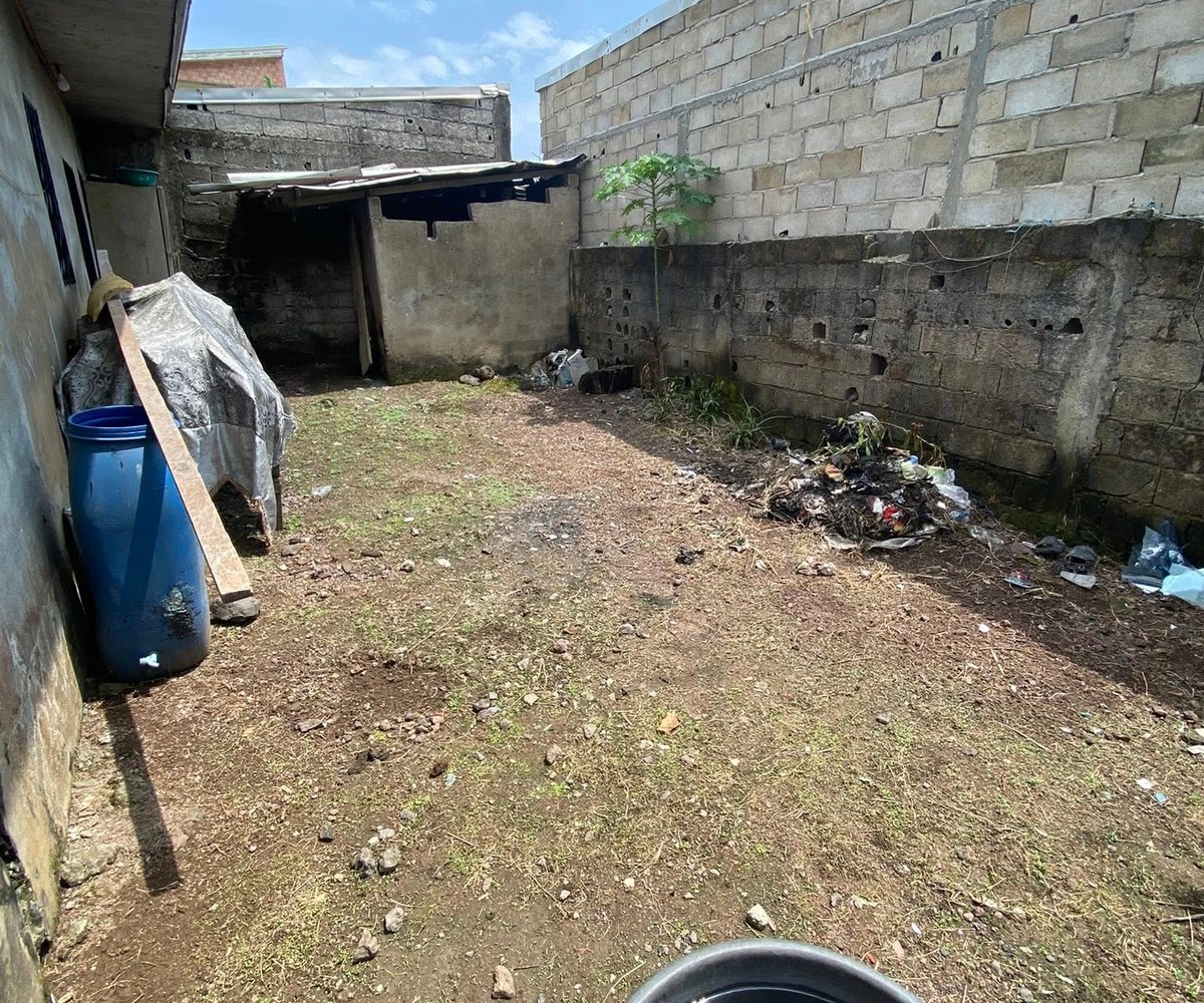 Vaste appartement à louer - BOCOM Cogefar, Douala