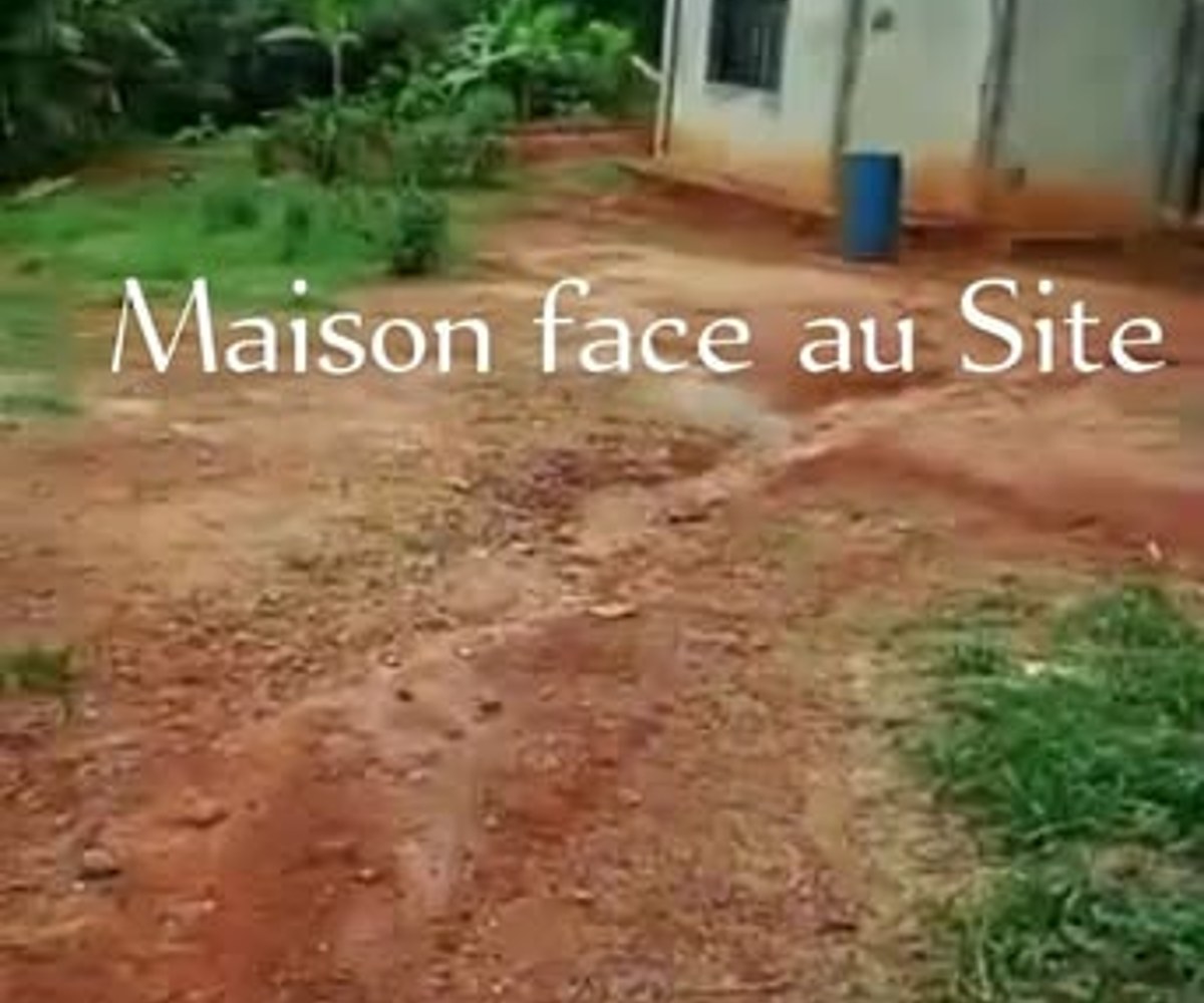 Terrain titré 500 m² - Soa