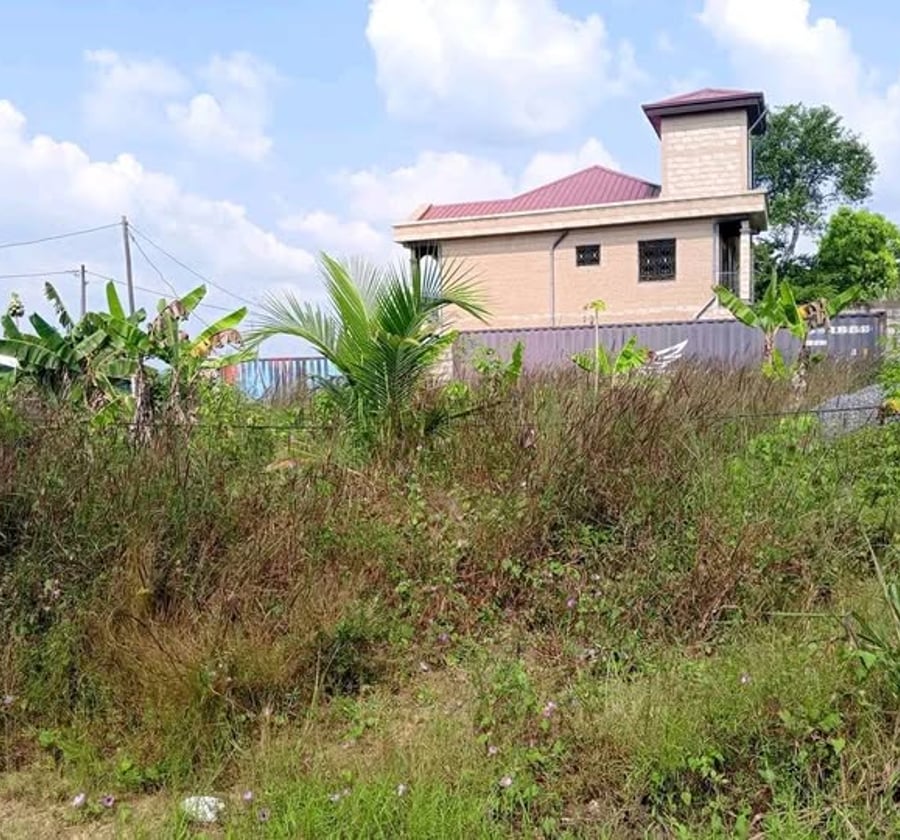 Terrain à louer à Douala Logbaba