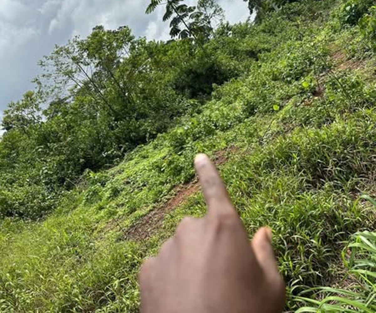 Terrain à vendre à Yaoundé Nkolfoulou
