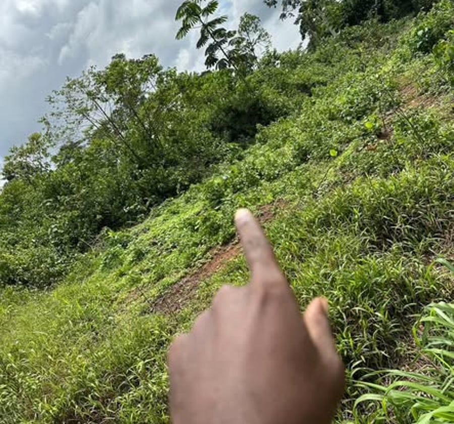 Terrain à vendre à Yaoundé Nkolfoulou