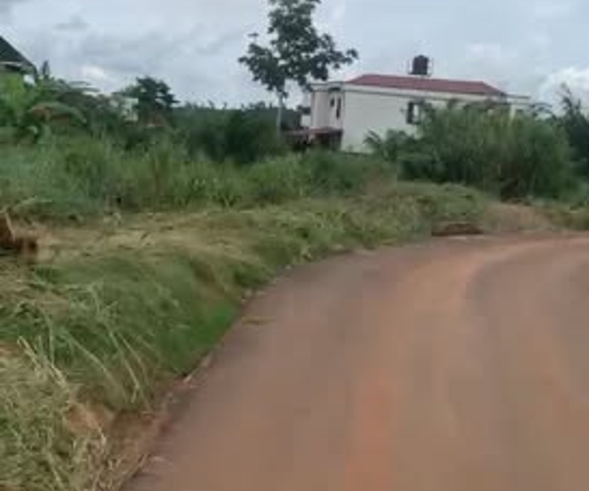 Terrain titré en vente - Nkolda, Yaoundé