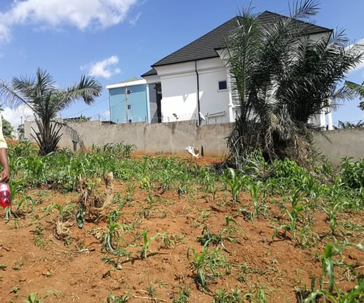 Terrain titré à vendre - Éleveur, Yaoundé