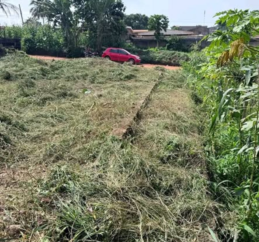 Terrain titré plat à vendre - Éleveur, Yaoundé