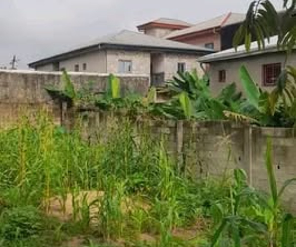 Terrain à vendre à Japoma, Douala - 300 m² titré