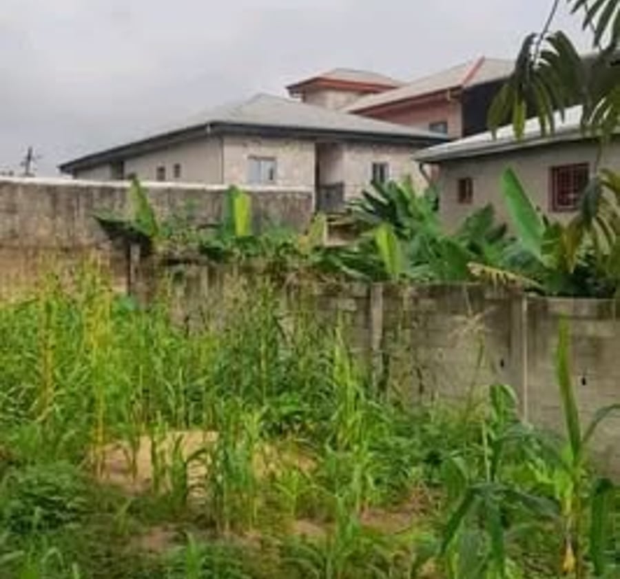 Terrain à vendre à Japoma, Douala - 300 m² titré
