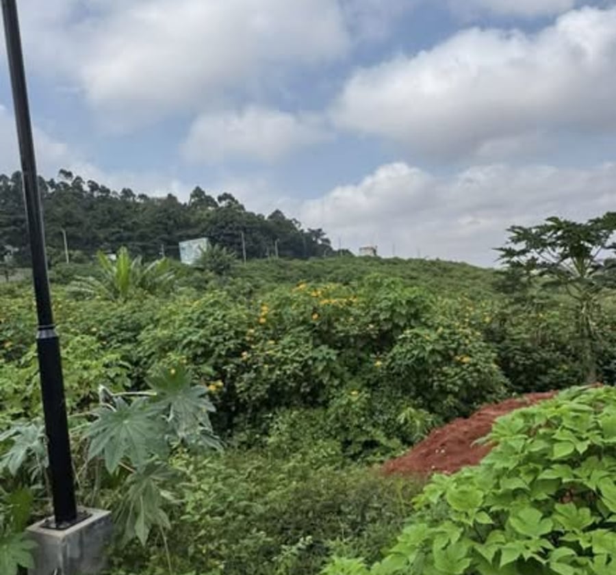 Terrain à vendre à Bastos, Yaoundé – 2000 m²