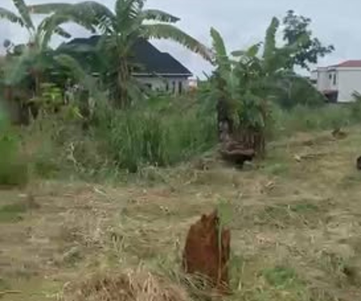 Terrain titré en vente - Nkolda, Yaoundé
