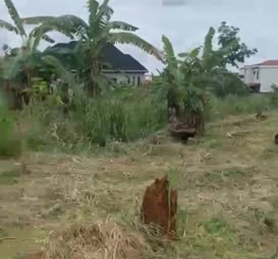 Terrain titré en vente - Nkolda, Yaoundé