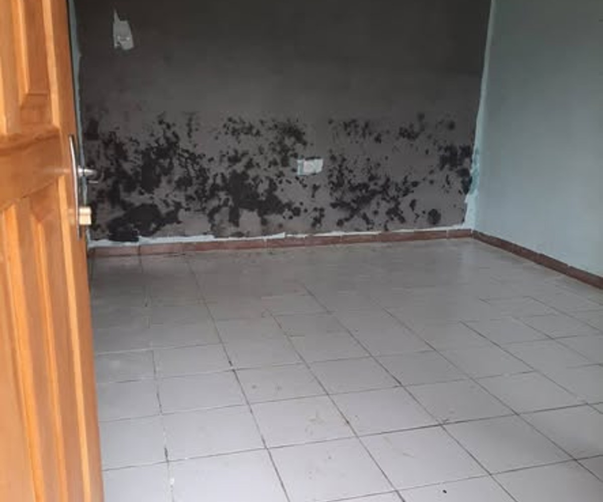Studio moderne à louer à PK10 Douala