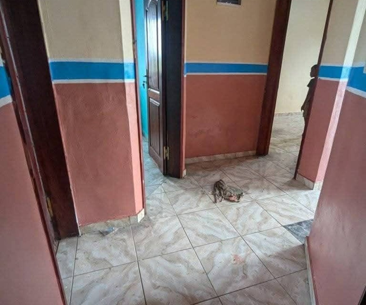 Appartement moderne à louer à Yaoundé Fourgerol