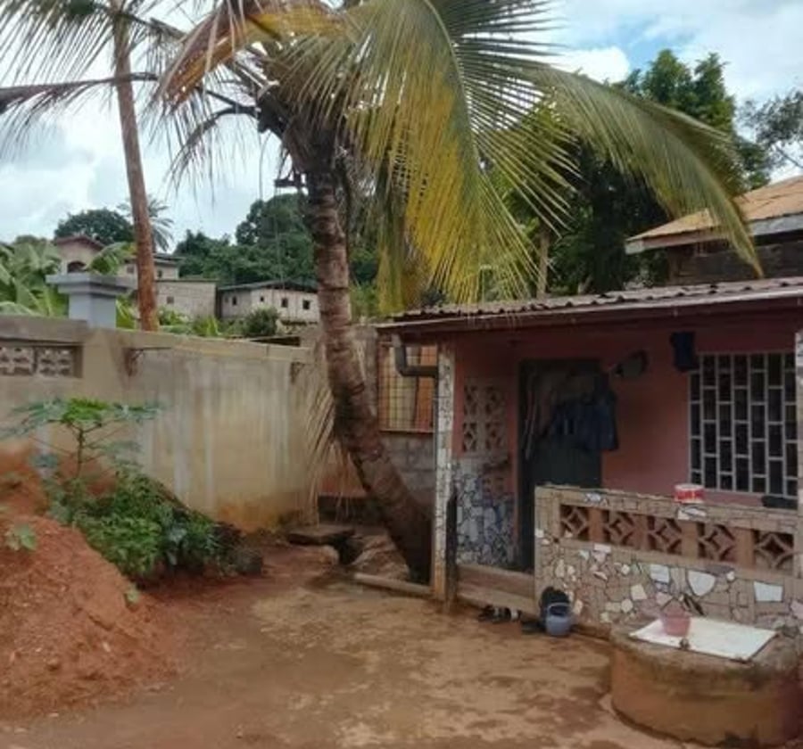 Studio moderne 4 pièces - Nkolmesseng