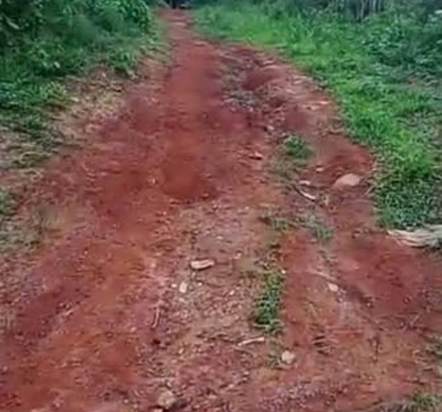 Terrain titré 500 m² - Soa