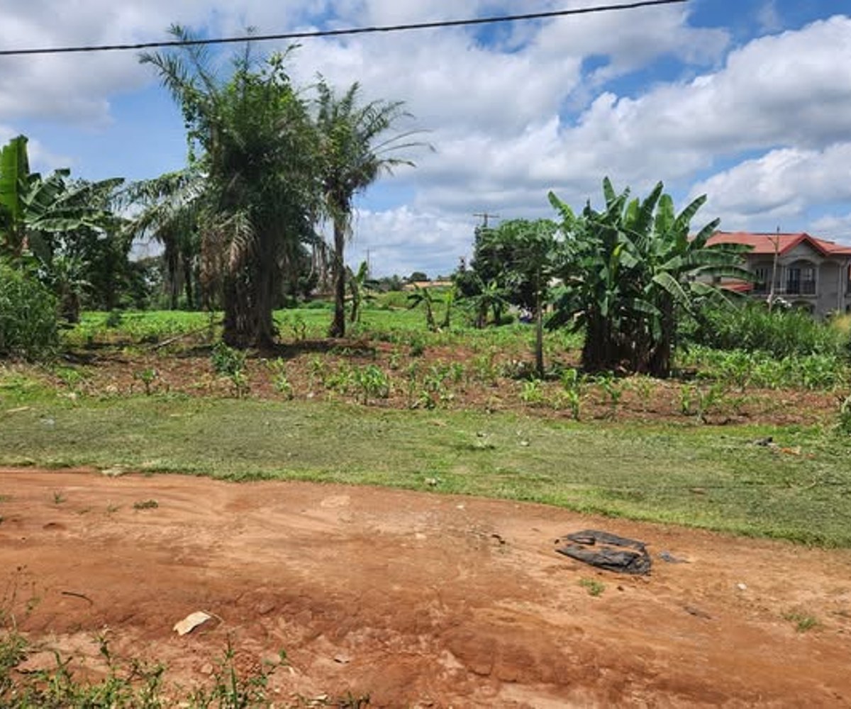 Terrain titré à vendre à Odza Minkan