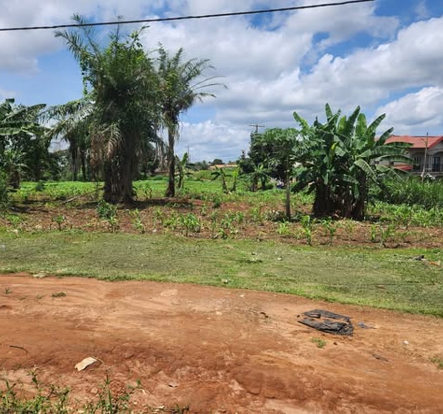 Terrain titré à vendre à Odza Minkan