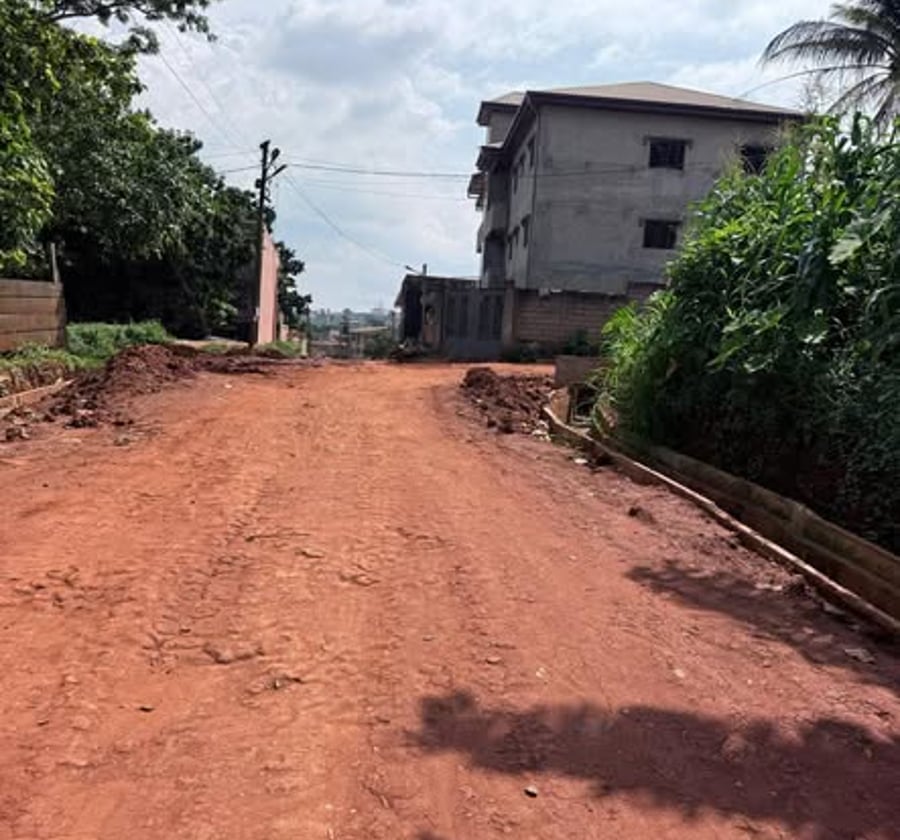 Terrain titré plat à vendre - Eleveur, Yaoundé