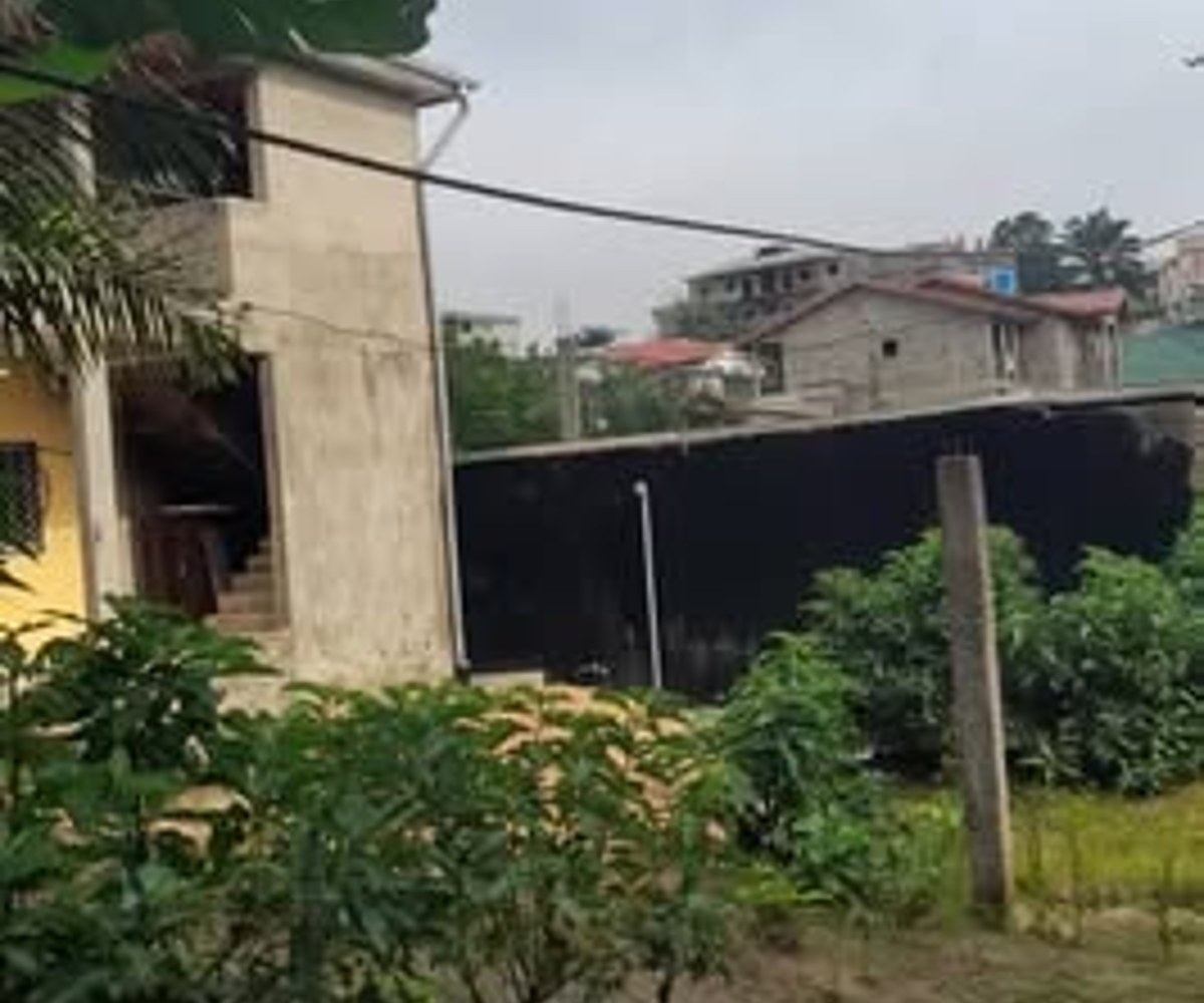 Terrain titré de 300 m² à vendre à Japoma Cocotier