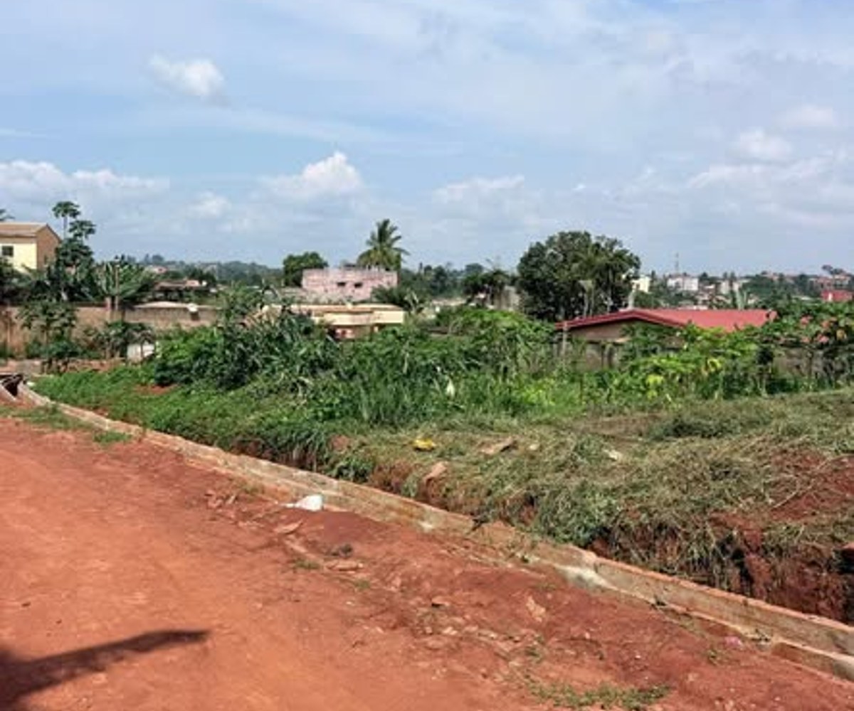 Terrain titré plat à vendre - Eleveur, Yaoundé
