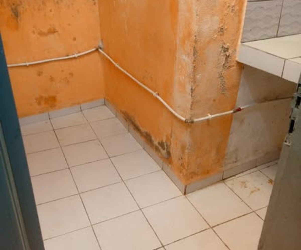 Studio moderne à louer à Kotto - Douala