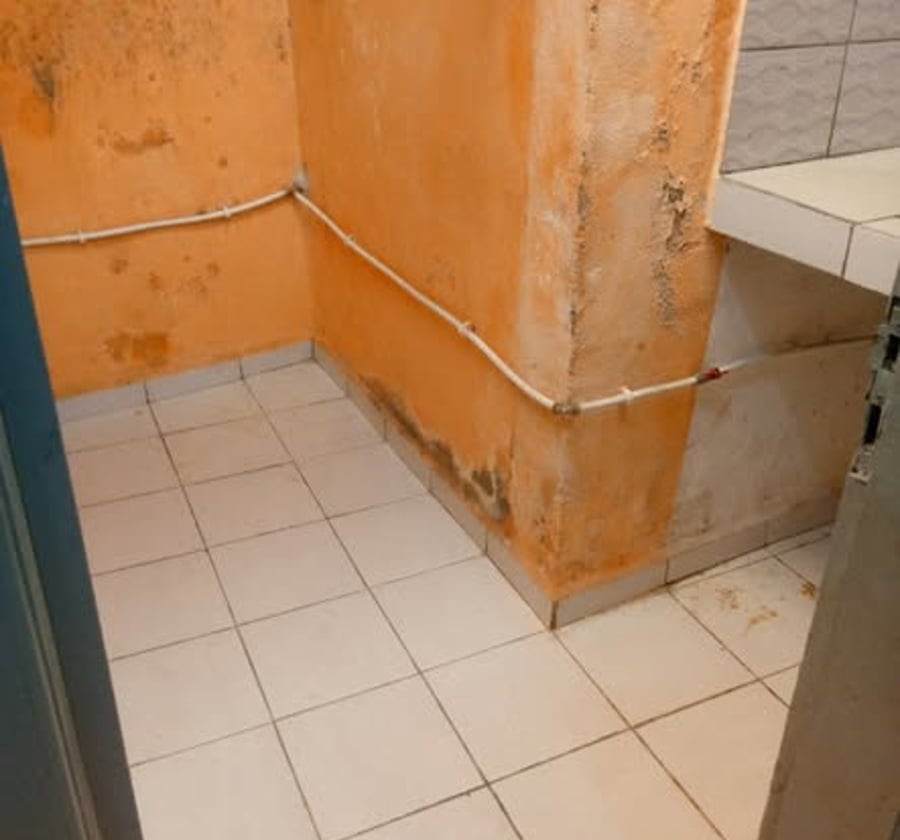 Studio moderne à louer à Kotto - Douala