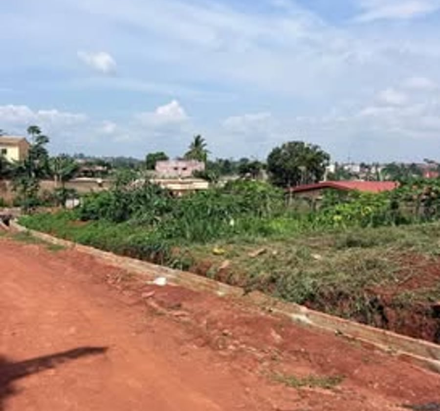 Terrain titré plat à vendre - Eleveur, Yaoundé