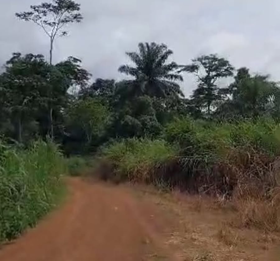 Terrain en vente - Route de Bikok, Zoatoupsi (près Nsimalen)