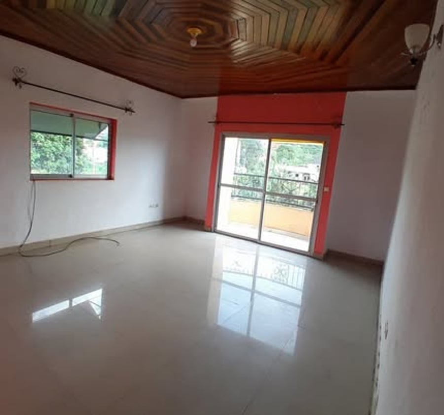 Appartement moderne haut standing - Olembe