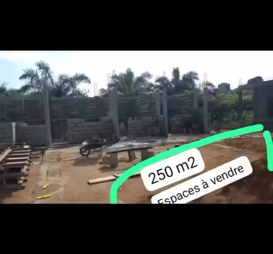 Terrain à vendre à Logbessou, Douala - 250 m²