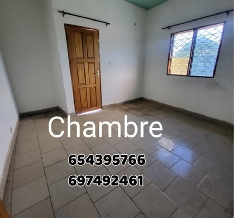 Studio moderne à louer - PK12, Douala