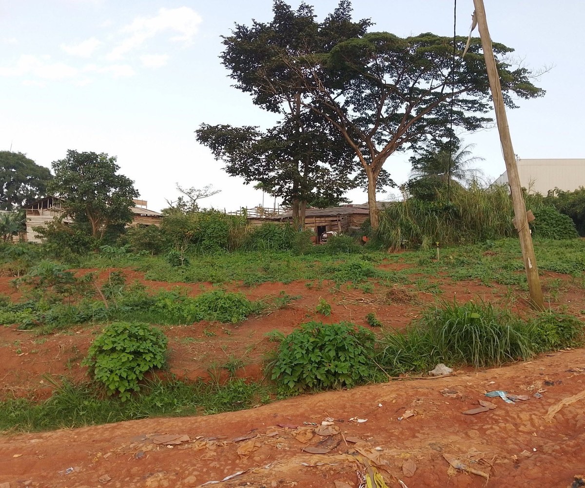 Terrain à vendre – Yaoundé Ekounou – 170 000 F CFA/m²