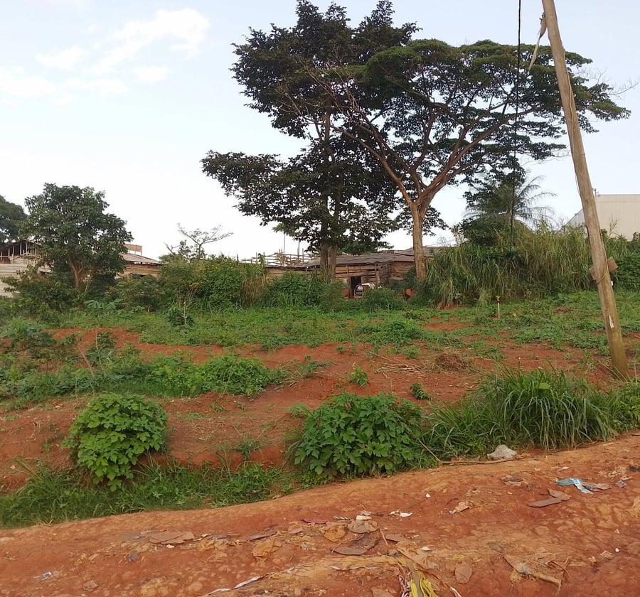 Terrain à vendre – Yaoundé Ekounou – 170 000 F CFA/m²