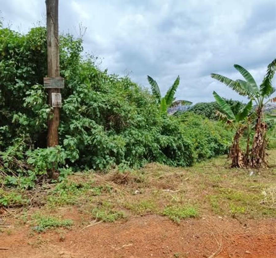 Terrain à vendre - Tropicana, Yaoundé