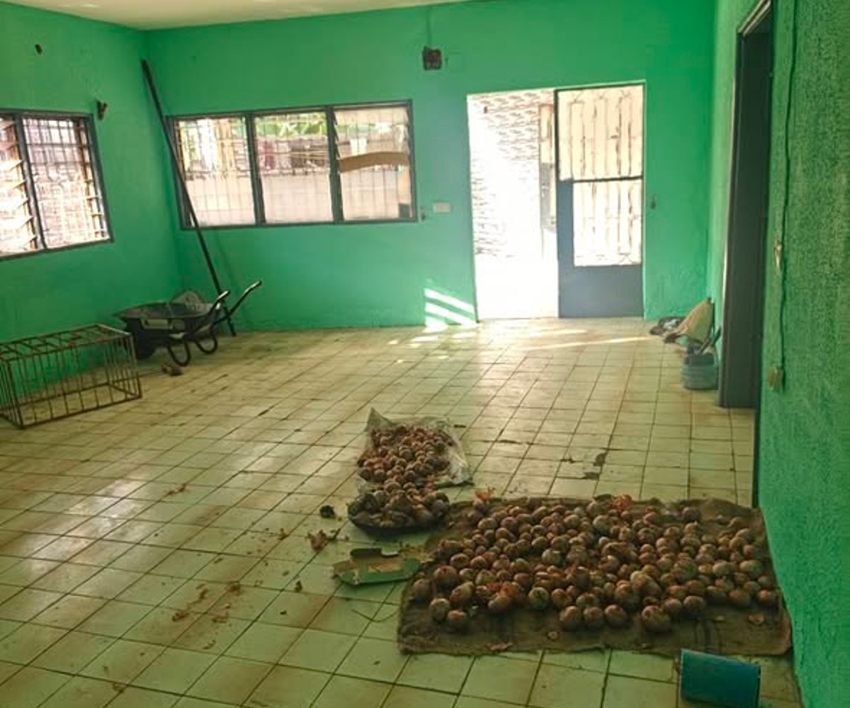 Appartement à PK10 - 2 chambres, 2 douches