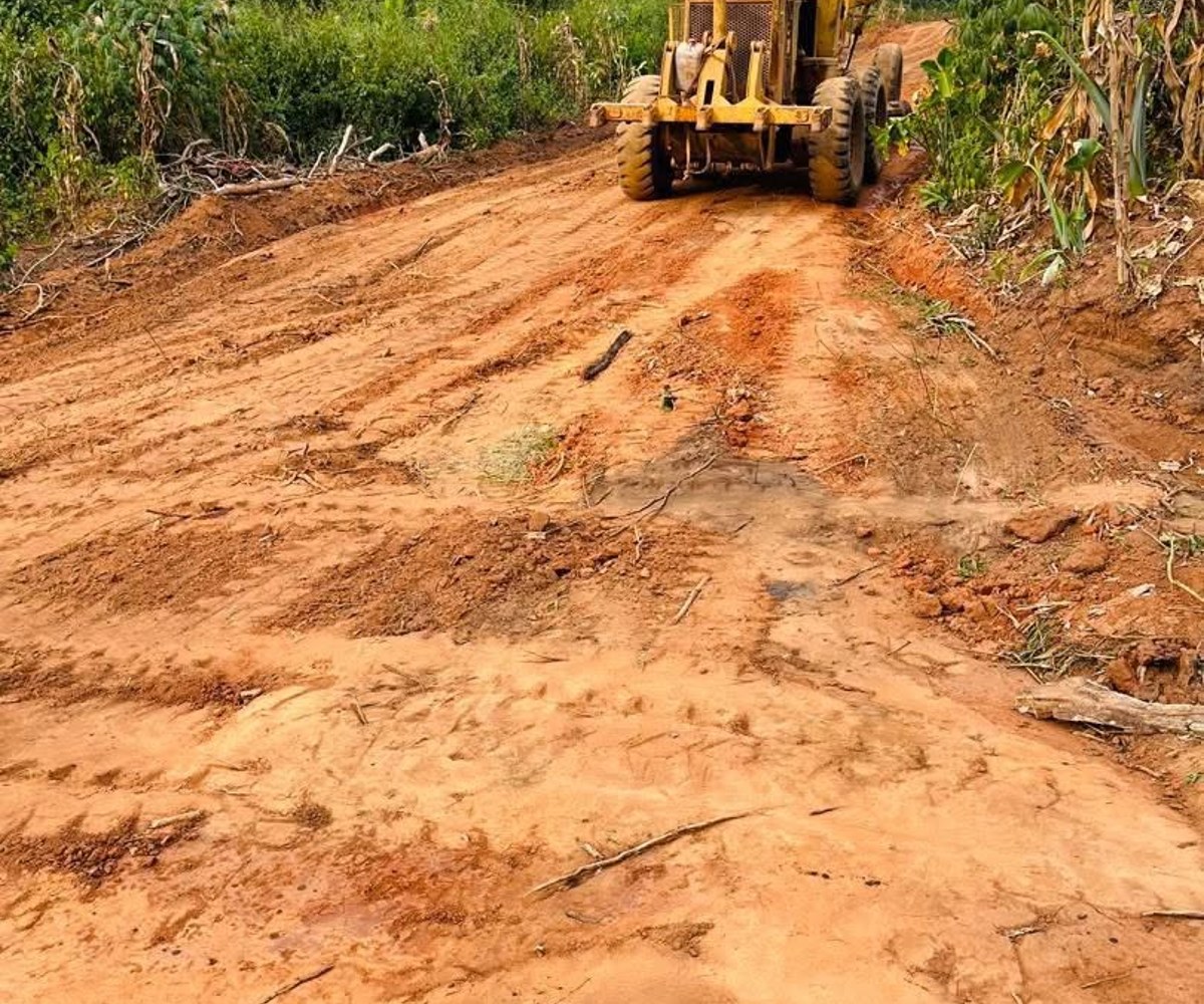 Terrain titré 1000 m² à vendre – Makepe Maturité, Douala