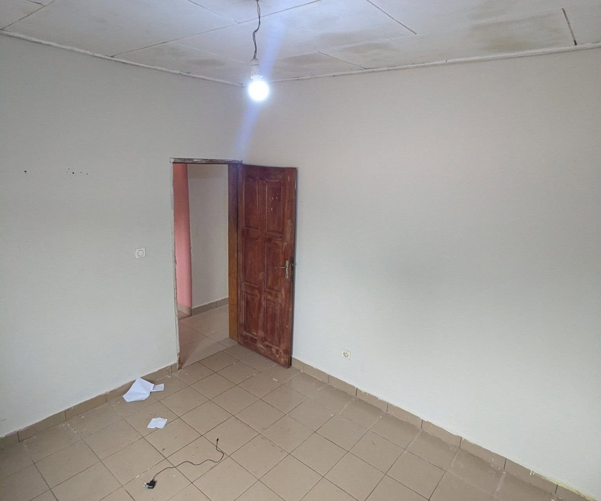 Studio moderne à Éleveur