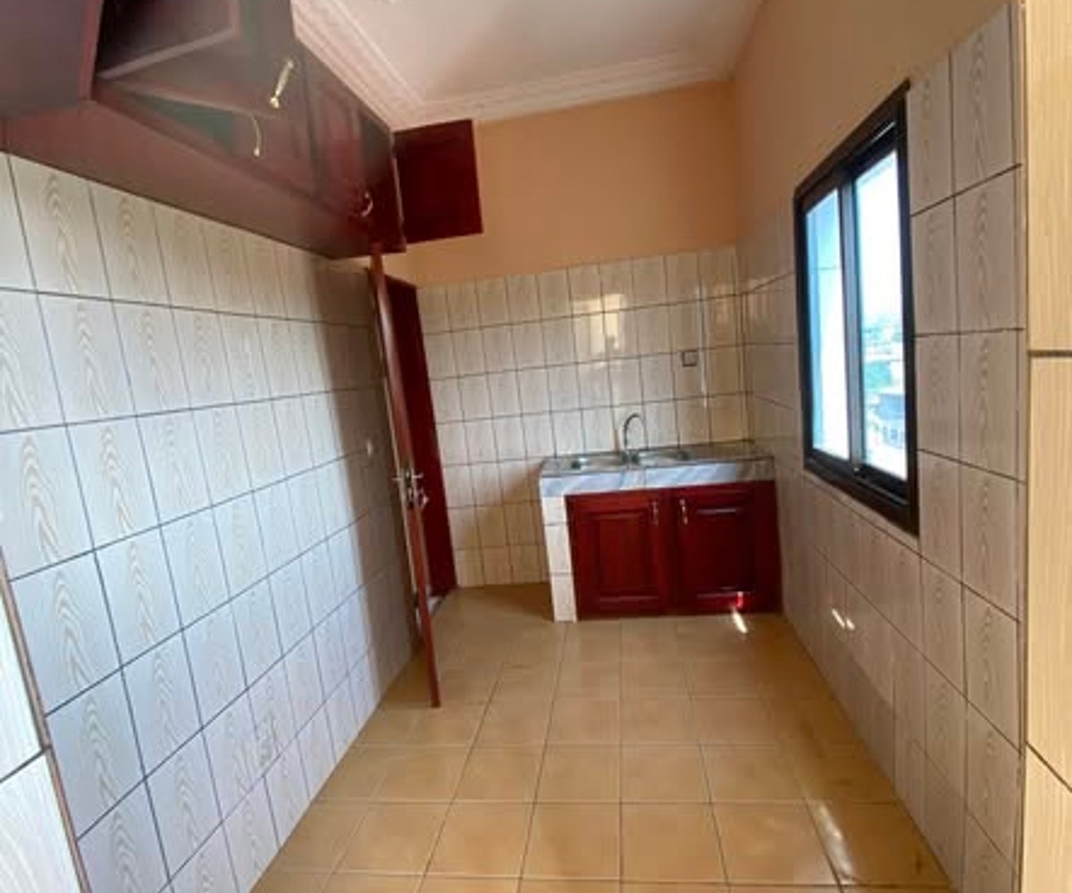 Appartement haut standing à Odza Petit Marché
