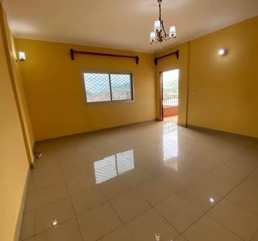 Appartement moderne à Biyemassi TKC