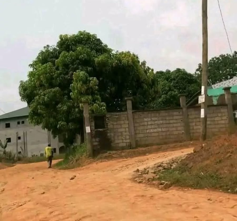 Terrain titré et loti à Nsimalen (Nkolmefou)